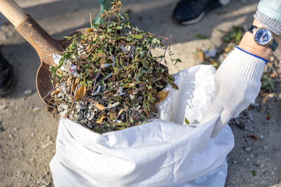 Rubbish removal near Purley Station CR8 same day service